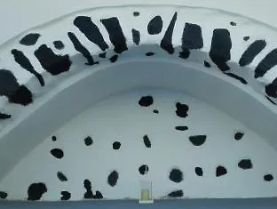 벨-에투알 산토리니 호텔 이메로비글리